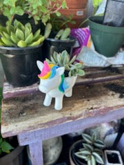 Unicorn Planter