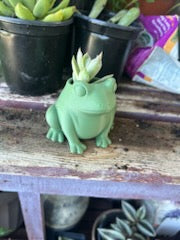 Frog Planter