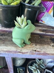 Frog Planter