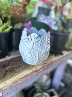 Monstera Planter