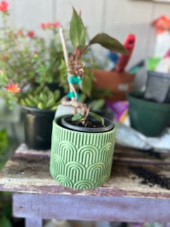 Geometrical Green Planter