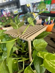 Pergola Trellis
