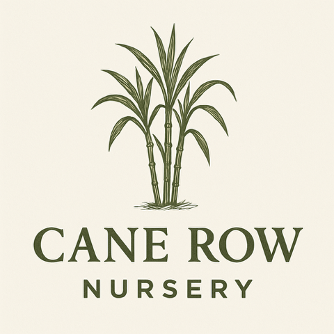 Cane Row Nursery