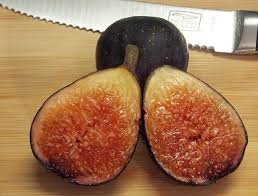 Native Black Fig