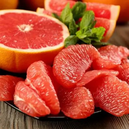Ruby Red Grapefruit Tree Live Citrus 2–3 ft Tall