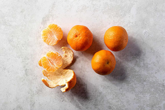 Clementine Orange Tree 2–3 Ft Tall