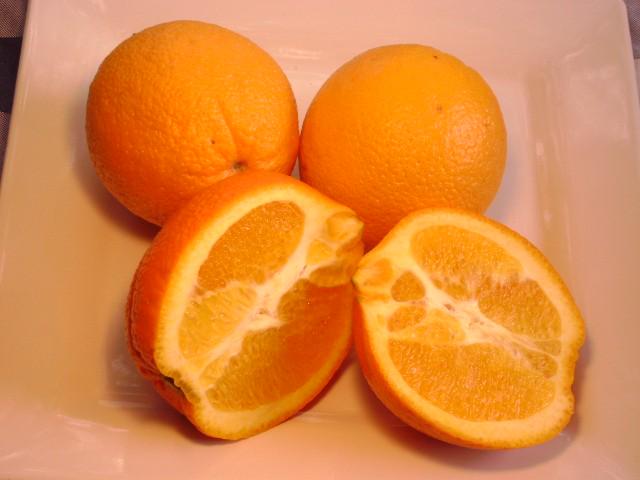 Louisiana Sweet Orange Tree 2–3 Ft