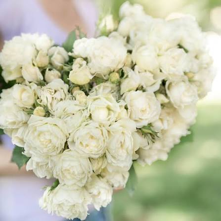 Icecap Rose